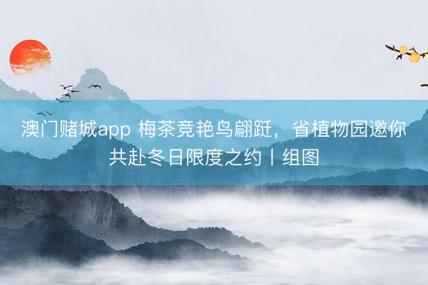 澳门赌城app 梅茶竞艳鸟翩跹，省植物园邀你共赴冬日限度之约丨组图