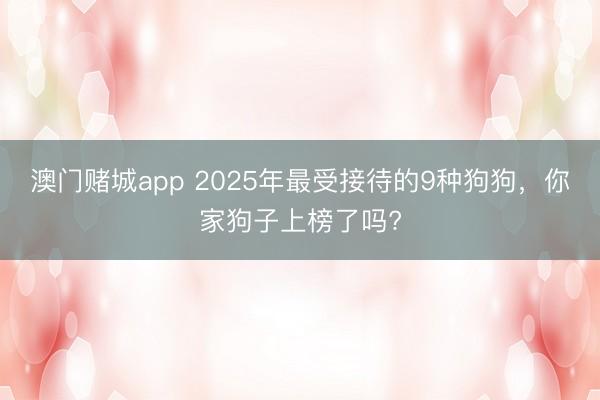 澳门赌城app 2025年最受接待的9种狗狗,你家狗子上榜了吗?