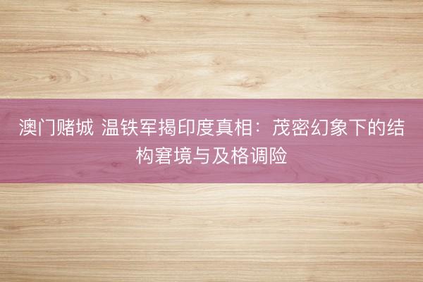 澳门赌城 温铁军揭印度真相:茂密幻象下的结构窘境与及格调险