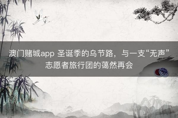 澳门赌城app 圣诞季的乌节路，与一支“无声”志愿者旅行团的蔼然再会