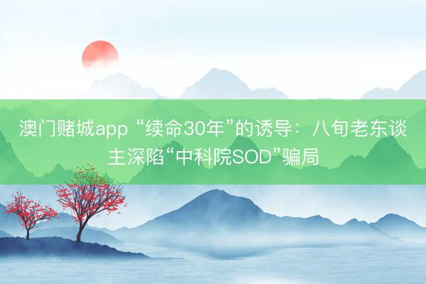 澳门赌城app “续命30年”的诱导：八旬老东谈主深陷“中科院SOD”骗局